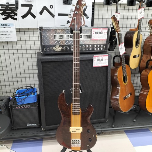 Aria proii tsb 500 electric - proii,