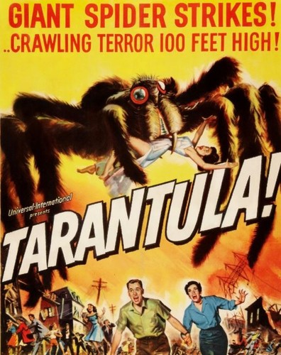 Terantula 1955 public domain - public,