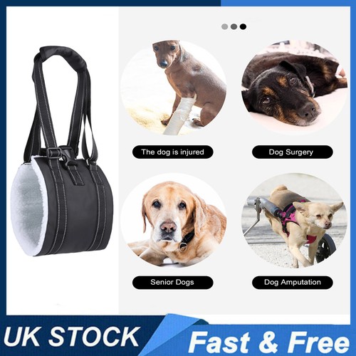 Dog lift harness support - lift,