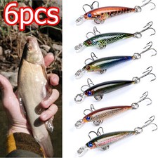 6Pcs Fishing Lures Trout Chub