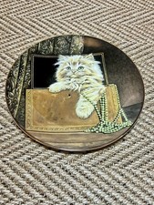 Purrfect Treasure Kitten