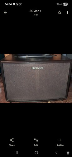 Roland accoustic amp - ac,