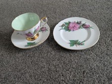 Paragon Roses Harry Wheatcroft