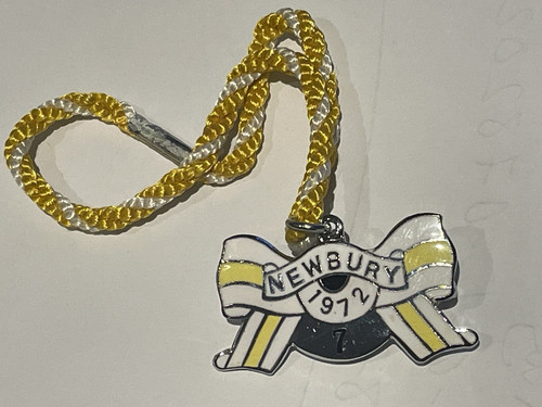 Ladys 1972 newbury horse - ladys,