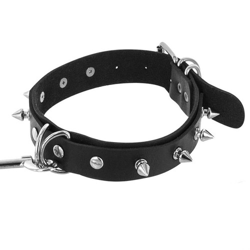 Ring collar and lead - and,