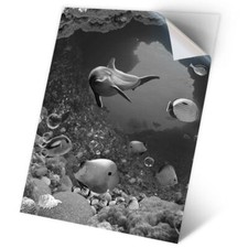 1 x Vinyl Sticker A2 - BW - Fish Aquarium Ocean Sea Dolphin Diver #43691