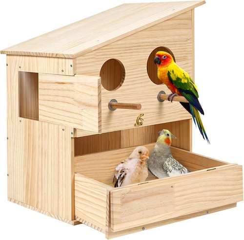 Wooden bird breeding - bird, nest