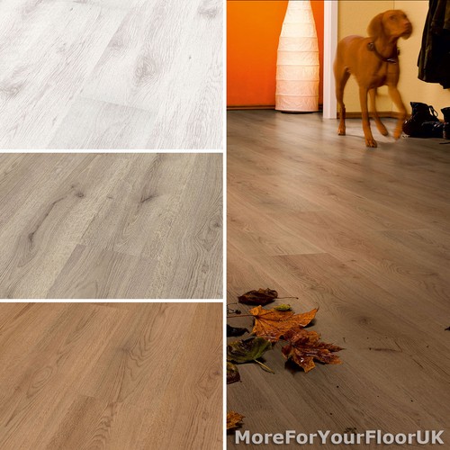 Basic laminate flooring 6mm - laminate,