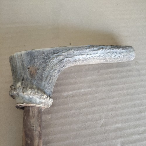 Vintage antler horn walking - horn,