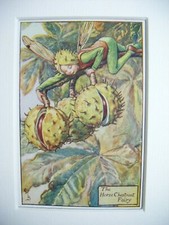 Vintage Flower Fairies Print & Mount Horse Chestnut Fairy Cicely Barker c1930's
