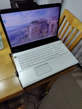 Sony SVE1713S1EW 17.3 in