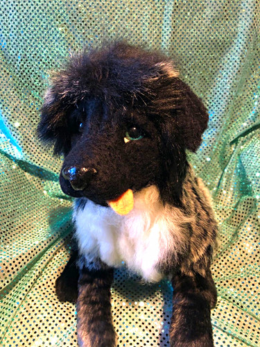 Plush dog soft toy - plush, grey