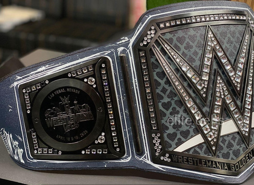 Undisputed championship belt