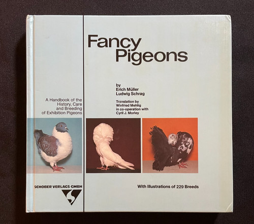 Fancy pigeons erich muller - pigeons",