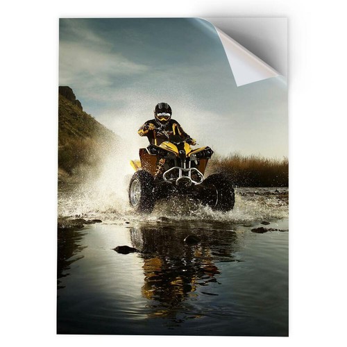 Vinyl sticker atv - x,
