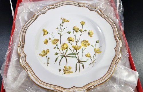 Spode botanical wildflower - spode,