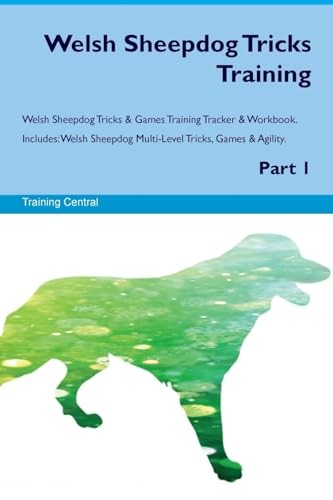 Welsh sheepdog tricks training - welsh,
