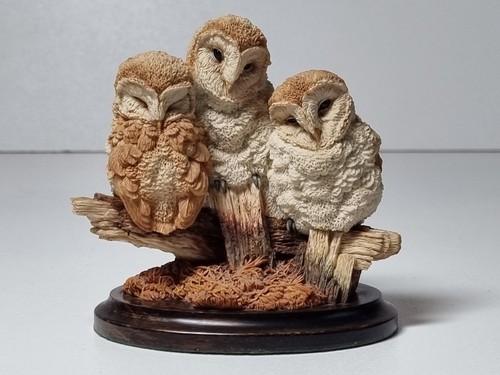 Vintage barn owl chicks bird - barn,