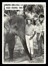 1966 Philadelphia Daktari #49