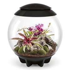 BiOrb Air Terrarium - Black