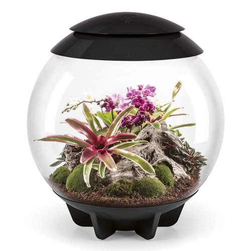Biorb air terrarium - biorb,