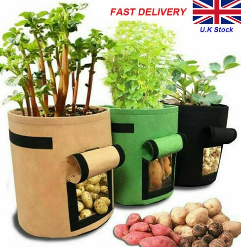 Plant growing bags - growing,