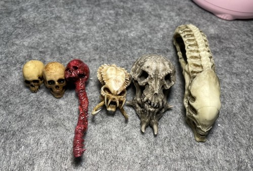Alien predator skull kit neca - skull,