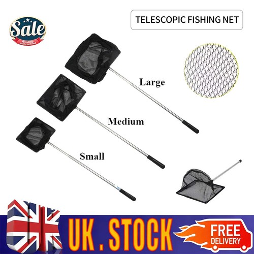 Pond net catch - pond,