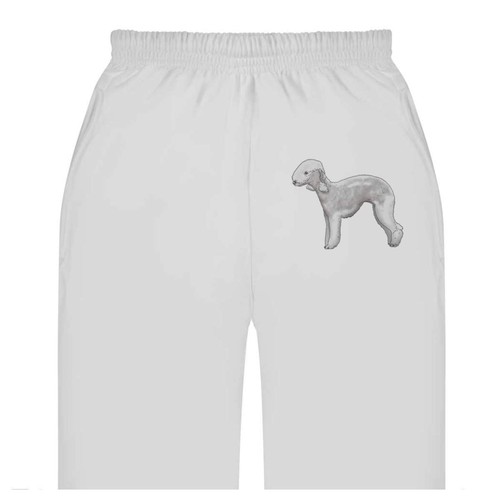 Bedlington terrier adult - 'bedlington,