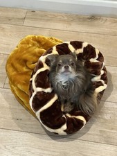 Luxury snuggle sack chihuahua - sack,