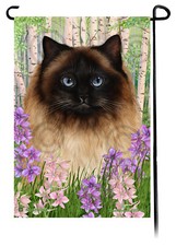 Himalayan Cat Spring Flowers
