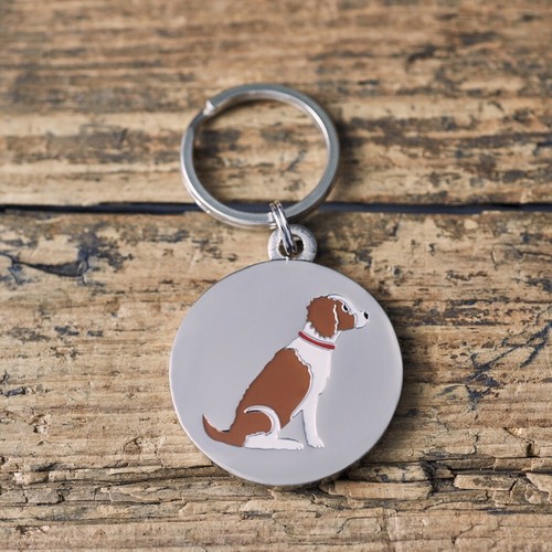 Springer spaniel liver - (liver, &