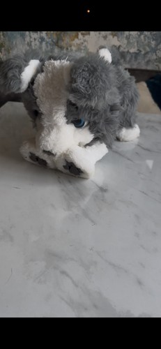 Hasbro interactive furreal - hasbro,