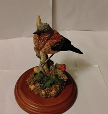 Country Artists Chaffinch With