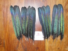 20 MAGPIE TAIL FEATHERS 7"to 8" NATIVE AMERICAN FLY TYING ART&CRAFT