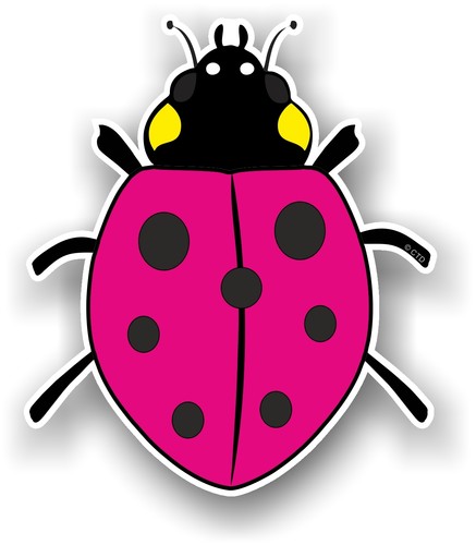 Beautiful cute ladybird - cute,