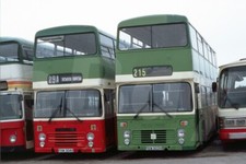 Bus Photo - Maun Mansfield