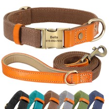 Fashion Customised Nylon Dog