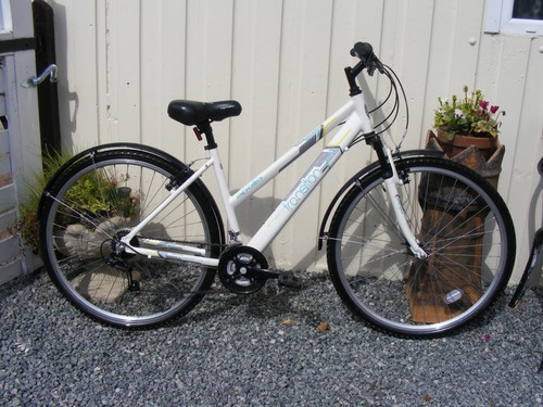 Ladies apollo transition - ladies,