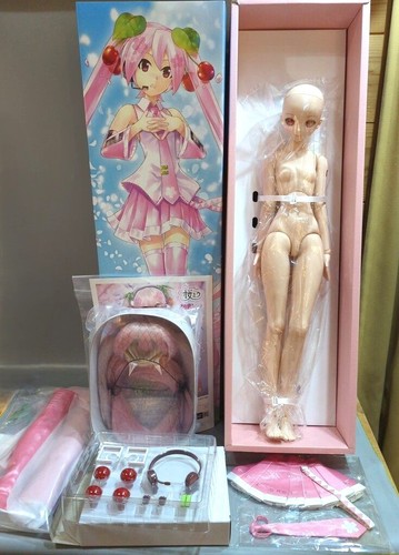 Volks sakura miku 0 - dd, 2.0