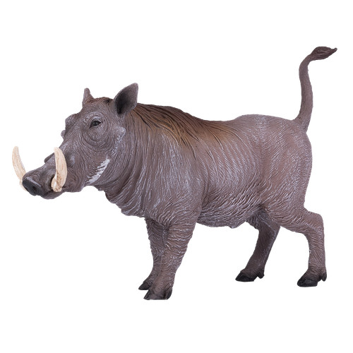 Mojo warthog african wild - african,