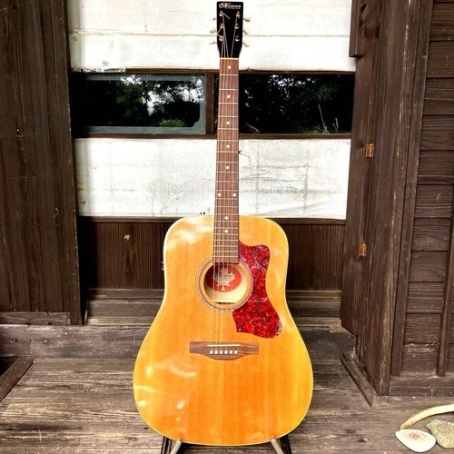 Rare norman electro - rare, electro-acoustic
