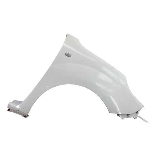 Renault kangoo wing - wing, right