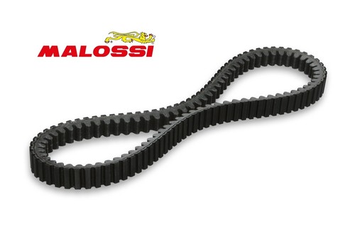 Belt malossi honda - honda, 150