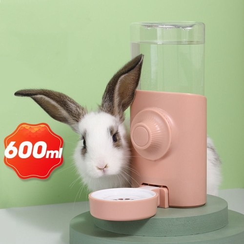 Rabbit water dispenser - rabbit,