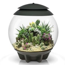 BiOrb Air 30 Terrarium - Grey