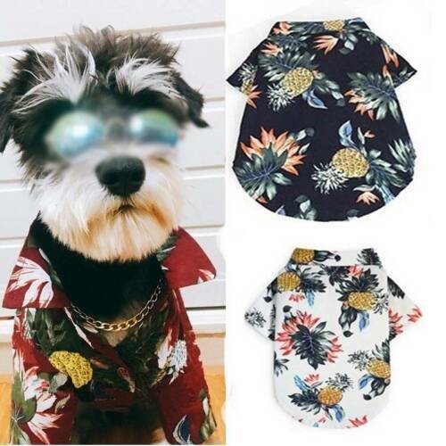 Floral clothes beach - clothes,