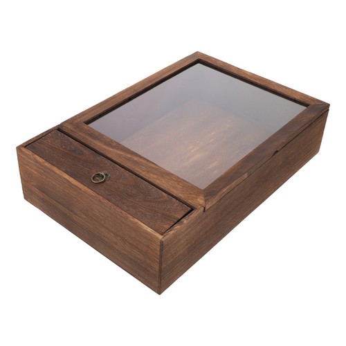 Insect display case box - insect,