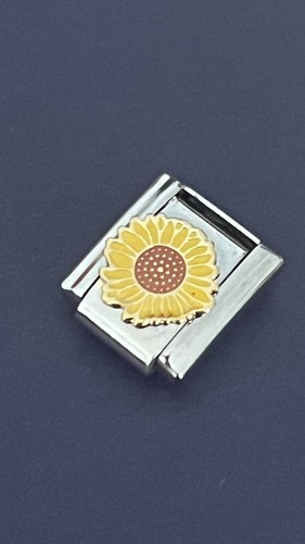 New silver charm - new,