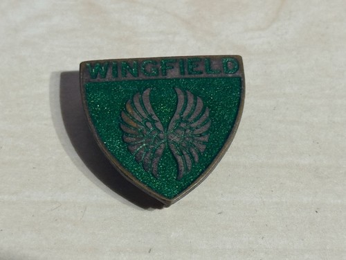 Unidentified wingfield enamel - unidentified,